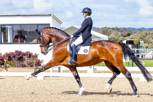 The Stable Ground Australian Dressage Championships 2023 | Equestrian ...